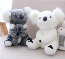 Lade das Bild in den Galerie-Viewer, Toller Koala Plüschtier