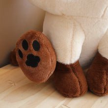 Lade das Bild in den Galerie-Viewer, 35-60cm Siamesische Katze als Anime Kuscheltier