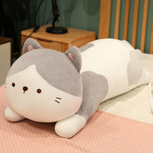 Lade das Bild in den Galerie-Viewer, Jetzt Süßes Plüschkissen Kuschelkatze - ca. 50/70/90cm bei Kuscheltiere.store kaufen