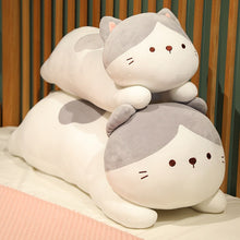 Lade das Bild in den Galerie-Viewer, Jetzt Süßes Plüschkissen Kuschelkatze - ca. 50/70/90cm bei Kuscheltiere.store kaufen