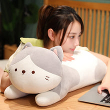 Lade das Bild in den Galerie-Viewer, Jetzt Süßes Plüschkissen Kuschelkatze - ca. 50/70/90cm bei Kuscheltiere.store kaufen