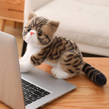 Lade das Bild in den Galerie-Viewer, Jetzt Kuscheltier Katze Kätzchen ca. 25cm, lebensecht bei Kuscheltiere.store kaufen