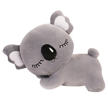 Lade das Bild in den Galerie-Viewer, Jetzt Koala Plüsch Teddy Kuscheltier (35cm bis 75cm) bei Kuscheltiere.store kaufen