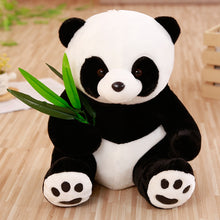 Lade das Bild in den Galerie-Viewer, Jetzt Tolle Panda Teddybären Kuscheltiere bei Kuscheltiere.store kaufen