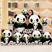 Lade das Bild in den Galerie-Viewer, Jetzt Tolle Panda Teddybären Kuscheltiere bei Kuscheltiere.store kaufen