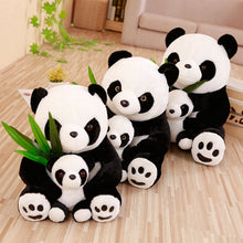 Lade das Bild in den Galerie-Viewer, Jetzt Tolle Panda Teddybären Kuscheltiere bei Kuscheltiere.store kaufen
