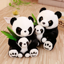 Lade das Bild in den Galerie-Viewer, Jetzt Tolle Panda Teddybären Kuscheltiere bei Kuscheltiere.store kaufen