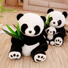 Lade das Bild in den Galerie-Viewer, Jetzt Tolle Panda Teddybären Kuscheltiere bei Kuscheltiere.store kaufen