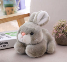 Lade das Bild in den Galerie-Viewer, Jetzt Knuddel Hase Stofftier (15cm / 20cm) bei Kuscheltiere.store kaufen