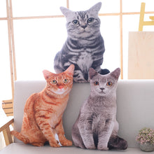 Lade das Bild in den Galerie-Viewer, Jetzt Katzen Kissen Plüschtiere - 3 Motive bei Kuscheltiere.store kaufen
