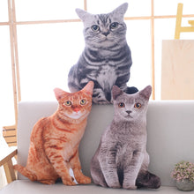 Lade das Bild in den Galerie-Viewer, Jetzt Katzen Kissen Plüschtiere - 3 Motive bei Kuscheltiere.store kaufen