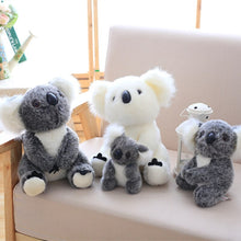 Lade das Bild in den Galerie-Viewer, Jetzt Süßer Koala Kuscheltier (ca. 13-28cm) bei Kuscheltiere.store kaufen