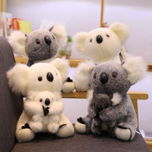 Lade das Bild in den Galerie-Viewer, Jetzt Süßer Koala Kuscheltier (ca. 13-28cm) bei Kuscheltiere.store kaufen