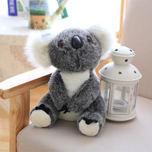 Lade das Bild in den Galerie-Viewer, Jetzt Süßer Koala Kuscheltier (ca. 13-28cm) bei Kuscheltiere.store kaufen