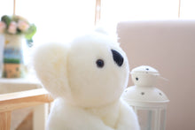 Lade das Bild in den Galerie-Viewer, Jetzt Süßer Koala Kuscheltier (ca. 13-28cm) bei Kuscheltiere.store kaufen