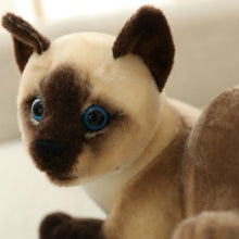 Lade das Bild in den Galerie-Viewer, Jetzt Siam Katze Plüsch Kuscheltier im Lebensechten Look bei Kuscheltiere.store kaufen