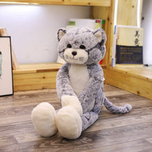 Lade das Bild in den Galerie-Viewer, Jetzt Kawaii Plüsch Katzen Stofftiere (50cm - 90cm) bei Kuscheltiere.store kaufen
