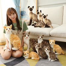 Lade das Bild in den Galerie-Viewer, Jetzt Tolle echt aussehende Katzen Kuscheltiere in vielen Motiven bei Kuscheltiere.store kaufen