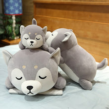 Lade das Bild in den Galerie-Viewer, Jetzt Niedliche Husky Hunde Kuscheltiere bei Kuscheltiere.store kaufen