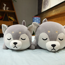 Lade das Bild in den Galerie-Viewer, Jetzt Niedliche Husky Hunde Kuscheltiere bei Kuscheltiere.store kaufen