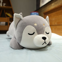 Lade das Bild in den Galerie-Viewer, Jetzt Niedliche Husky Hunde Kuscheltiere bei Kuscheltiere.store kaufen
