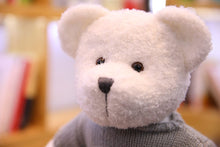 Lade das Bild in den Galerie-Viewer, Jetzt Liebliche Teddys mit Kleidung Kuscheltiere - 40cm / 50cm bei Kuscheltiere.store kaufen