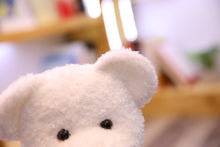 Lade das Bild in den Galerie-Viewer, Jetzt Liebliche Teddys mit Kleidung Kuscheltiere - 40cm / 50cm bei Kuscheltiere.store kaufen