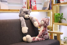 Lade das Bild in den Galerie-Viewer, Jetzt Kawaii Plüsch Katzen Stofftiere (50cm - 90cm) bei Kuscheltiere.store kaufen