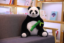 Lade das Bild in den Galerie-Viewer, Jetzt Großer (ca. 50cm) Panda als Kuscheltier bei Kuscheltiere.store kaufen