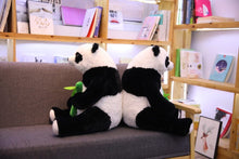 Lade das Bild in den Galerie-Viewer, Jetzt Großer (ca. 50cm) Panda als Kuscheltier bei Kuscheltiere.store kaufen