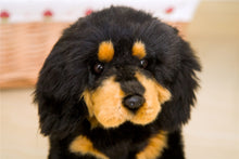 Lade das Bild in den Galerie-Viewer, Jetzt Niedliche Malteser Plüsch Hunde Stofftier bei Kuscheltiere.store kaufen