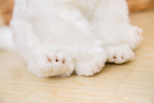 Lade das Bild in den Galerie-Viewer, Jetzt Niedliche Malteser Plüsch Hunde Stofftier bei Kuscheltiere.store kaufen