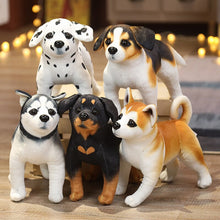 Lade das Bild in den Galerie-Viewer, Jetzt Niedliche Rottweiler, Husky, Dalmatiner, Akita Stoff Hunde Plüschtiere (ca. 25cm) bei Kuscheltiere.store kaufen