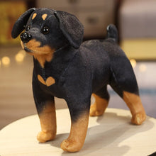 Lade das Bild in den Galerie-Viewer, Jetzt Niedliche Rottweiler, Husky, Dalmatiner, Akita Stoff Hunde Plüschtiere (ca. 25cm) bei Kuscheltiere.store kaufen