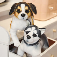 Lade das Bild in den Galerie-Viewer, Jetzt Niedliche Rottweiler, Husky, Dalmatiner, Akita Stoff Hunde Plüschtiere (ca. 25cm) bei Kuscheltiere.store kaufen