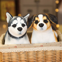 Lade das Bild in den Galerie-Viewer, Jetzt Niedliche Rottweiler, Husky, Dalmatiner, Akita Stoff Hunde Plüschtiere (ca. 25cm) bei Kuscheltiere.store kaufen