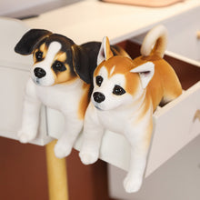 Lade das Bild in den Galerie-Viewer, Jetzt Niedliche Rottweiler, Husky, Dalmatiner, Akita Stoff Hunde Plüschtiere (ca. 25cm) bei Kuscheltiere.store kaufen