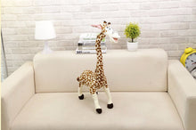 Lade das Bild in den Galerie-Viewer, Jetzt Giraffe Stofftier mit langen Hals Madagascar Plüschie (ca. 35cm) bei Kuscheltiere.store kaufen