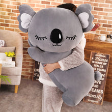 Lade das Bild in den Galerie-Viewer, Jetzt Koala Plüsch Teddy Kuscheltier (35cm bis 75cm) bei Kuscheltiere.store kaufen