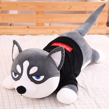Lade das Bild in den Galerie-Viewer, Jetzt Lustige Husky Stofftiere im Großformat (80cm - 100cm) bei Kuscheltiere.store kaufen