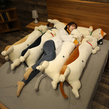 Lade das Bild in den Galerie-Viewer, Jetzt 60-120cm Niedliche Shiba Inu Hunde und Katzen Stofftiere bei Kuscheltiere.store kaufen