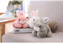 Lade das Bild in den Galerie-Viewer, Jetzt Knuddel Hase Stofftier (15cm / 20cm) bei Kuscheltiere.store kaufen