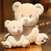 Lade das Bild in den Galerie-Viewer, Jetzt Lieblicher Schmuse Teddy Bär 25-60cm bei Kuscheltiere.store kaufen