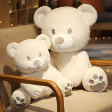 Lade das Bild in den Galerie-Viewer, Jetzt Lieblicher Schmuse Teddy Bär 25-60cm bei Kuscheltiere.store kaufen
