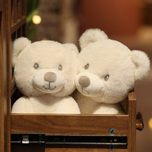 Lade das Bild in den Galerie-Viewer, Jetzt Lieblicher Schmuse Teddy Bär 25-60cm bei Kuscheltiere.store kaufen