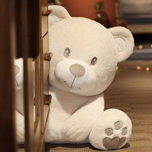 Lade das Bild in den Galerie-Viewer, Jetzt Lieblicher Schmuse Teddy Bär 25-60cm bei Kuscheltiere.store kaufen