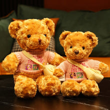 Lade das Bild in den Galerie-Viewer, Jetzt Teddybär Kuscheltier mit Pullover - verschiedene Motive (30cm oder 40cm) bei Kuscheltiere.store kaufen