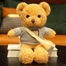 Lade das Bild in den Galerie-Viewer, Jetzt Teddybär Kuscheltier mit Pullover - verschiedene Motive (30cm oder 40cm) bei Kuscheltiere.store kaufen