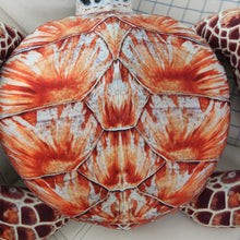 Lade das Bild in den Galerie-Viewer, Jetzt Tolle Schildkröten Plüschtiere in verschiedenen Farben und Größen (ca. 25-70cm) bei Kuscheltiere.store kaufen