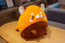 Lade das Bild in den Galerie-Viewer, Jetzt Waschbär Kuscheltier im Kawaii Anime Look (28/35cm) bei Kuscheltiere.store kaufen